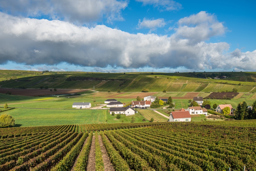 sancerre wineries to visit