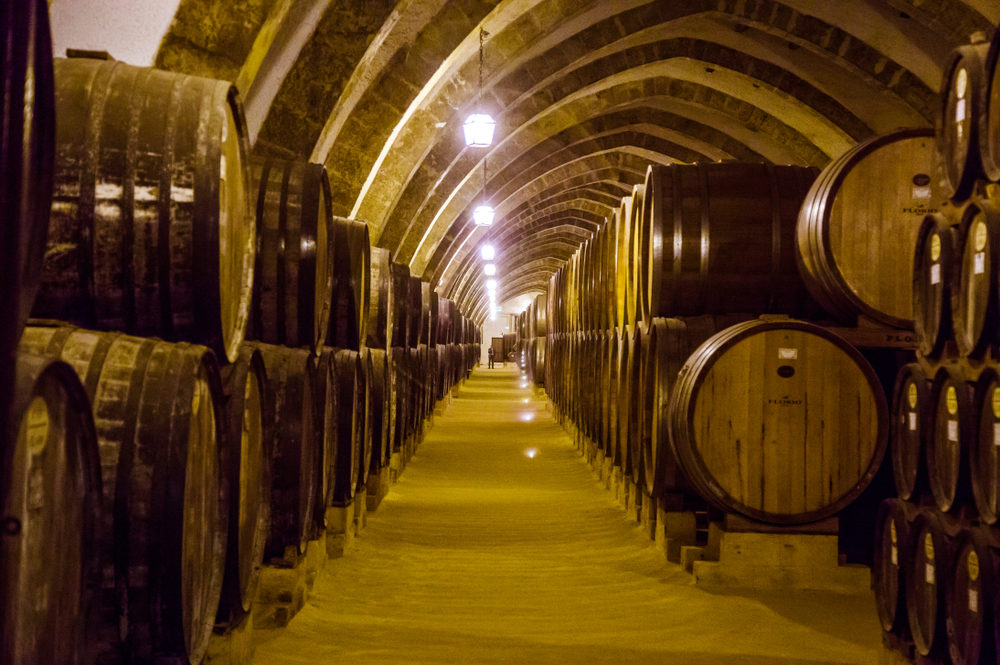 Marsala Wine Barrels