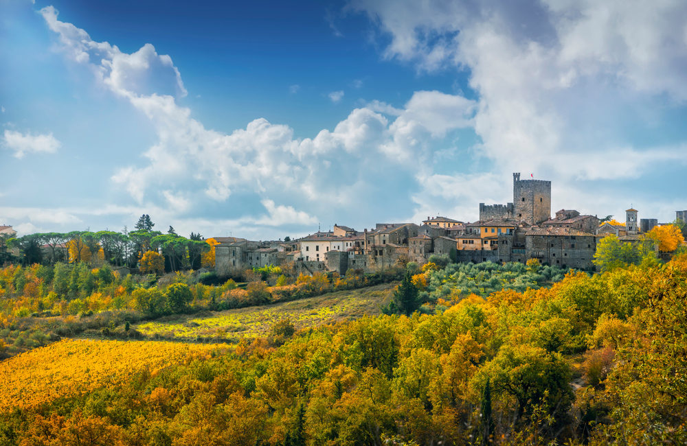 Vineyards of Castellina in Chianti