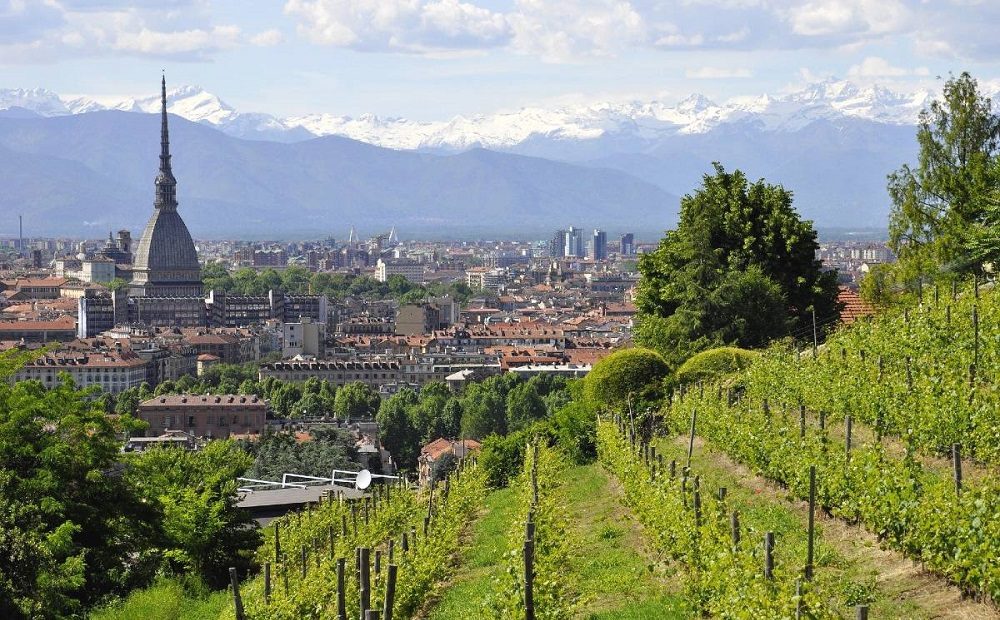 vigna-regina-turin