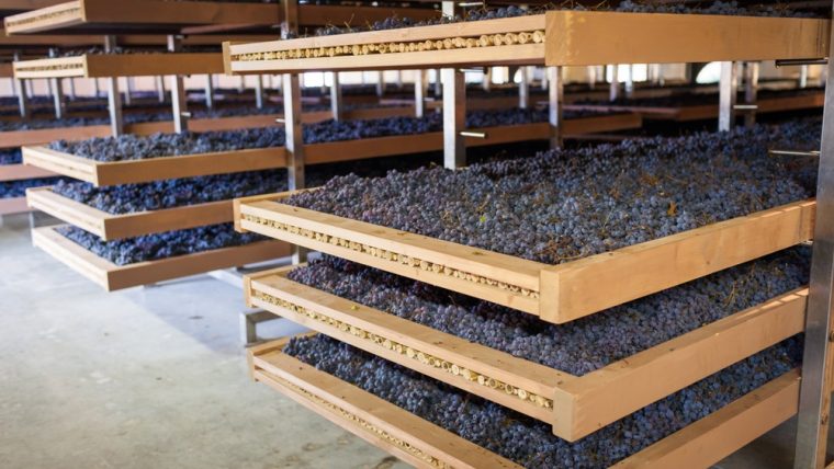 Amarone Wines