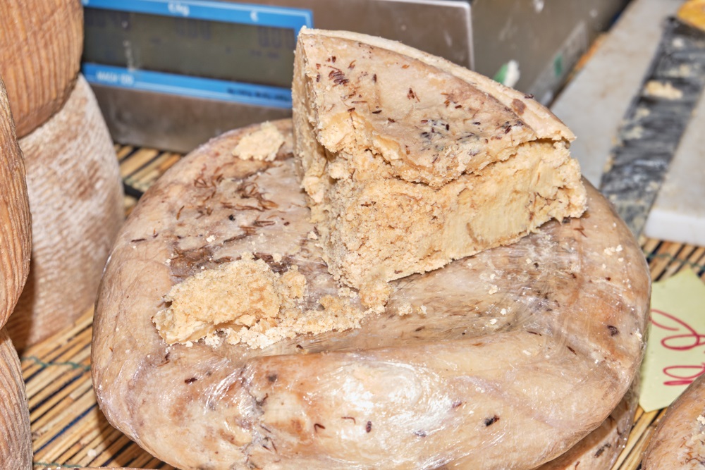 casu-marzu-cheese