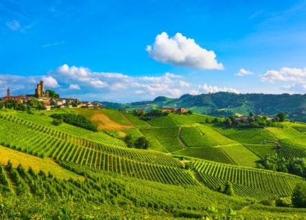 Savoring Piedmontese Cuisine: Exploring the Land of Barolo and Barbaresco
