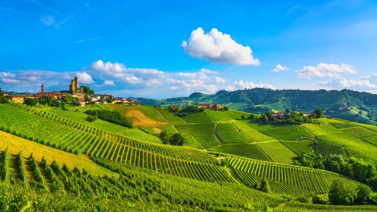 Piedmontese Cuisine