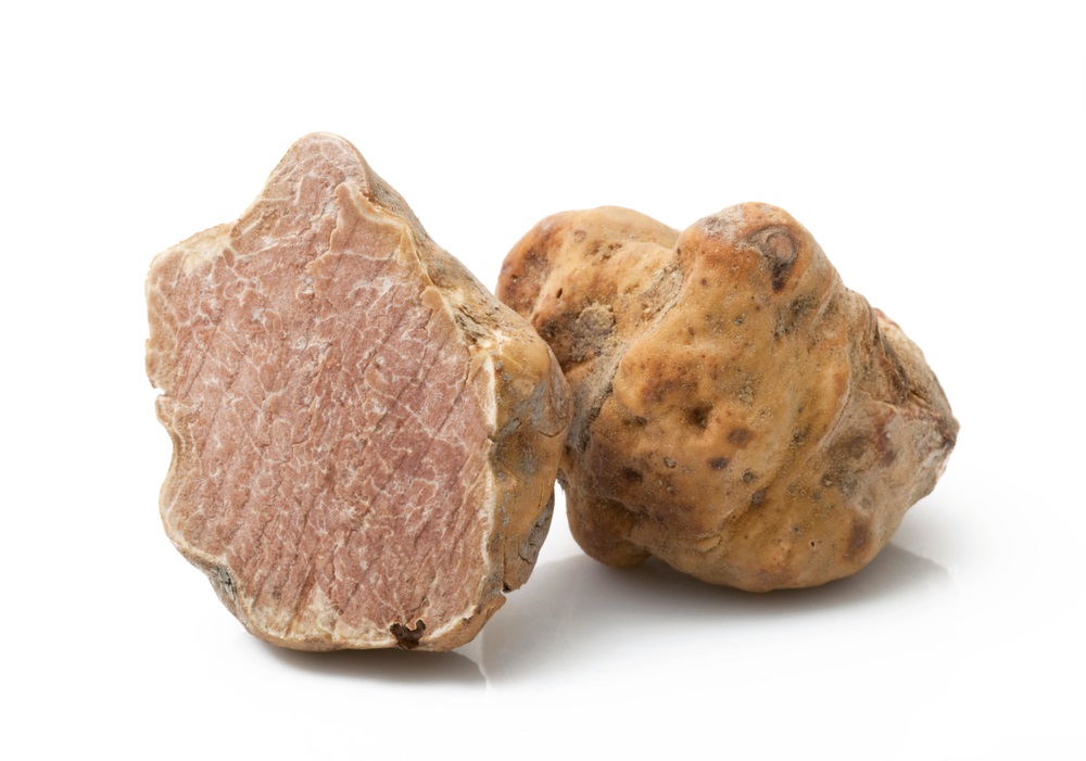 White Truffles in Rimini