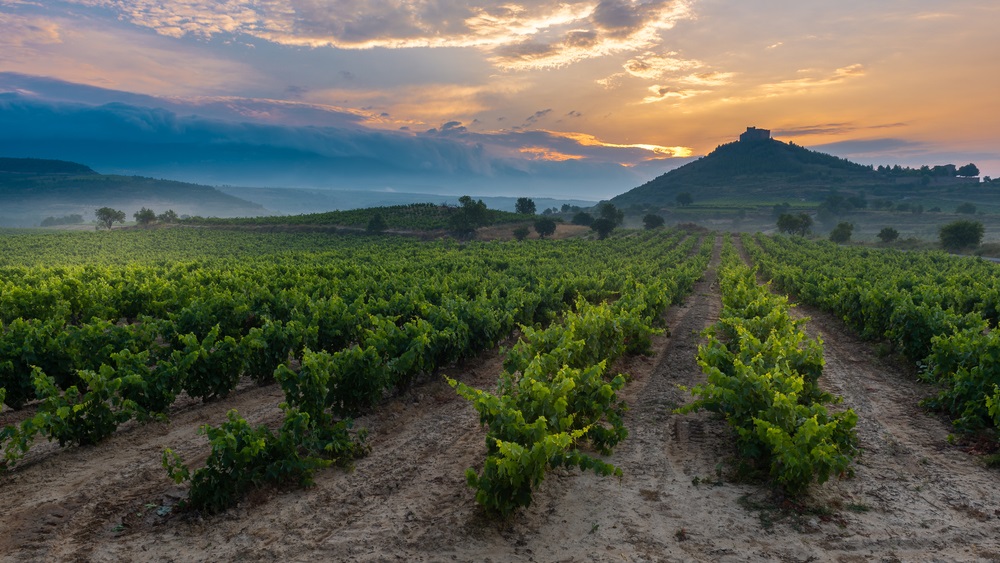 spanish-red-wine