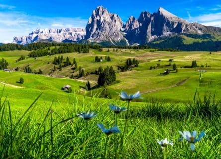 Gastronomy of Trentino Alto-Adige: Must-Try Tyrolean Culinary Delights