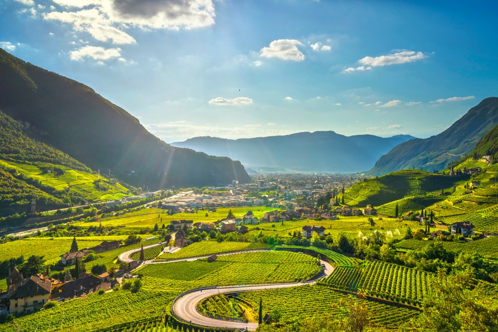 Alto-Adige vineyards