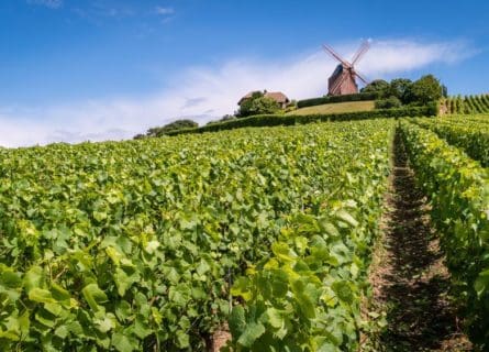 The Cuisine of Champagne-Ardenne & The Best Champagne Food Pairings
