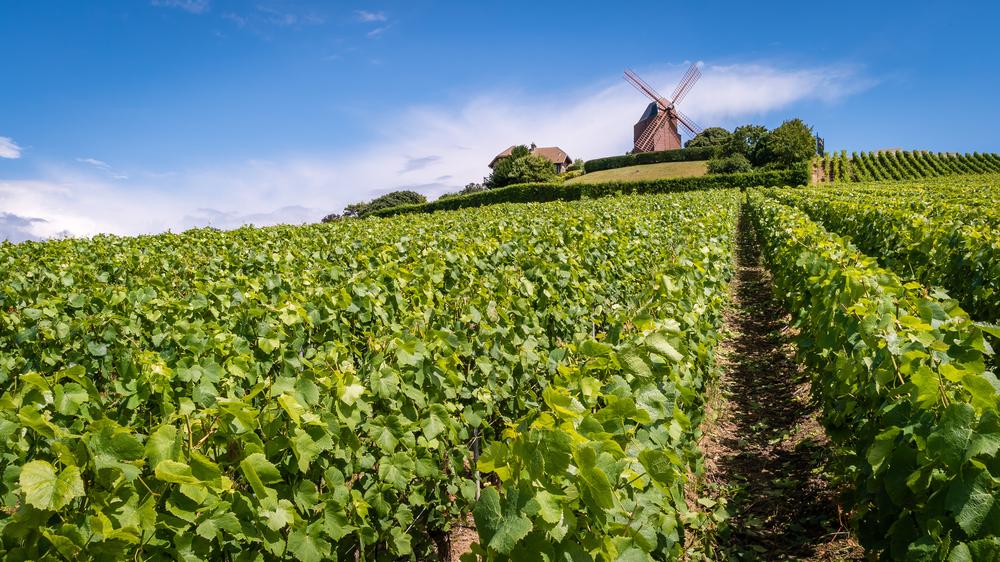 A journey through France's Champagne-Ardenne region