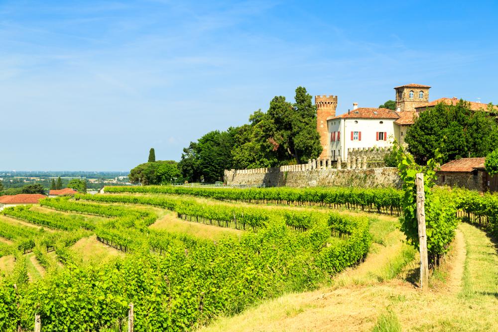 fruili-venezia-vineyards