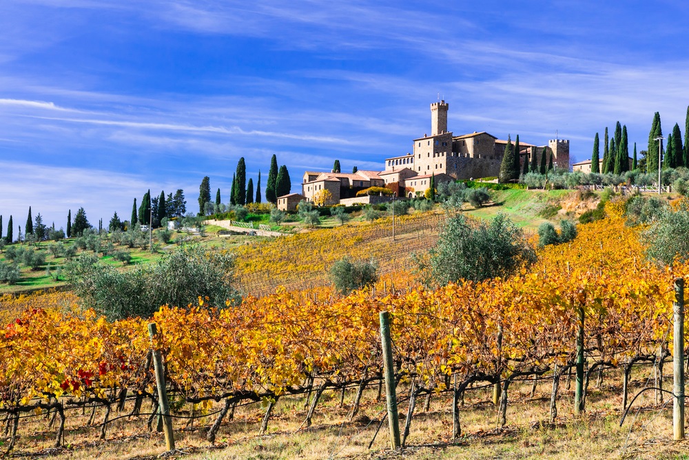 castello-di-banfi-vineyards-montalcino