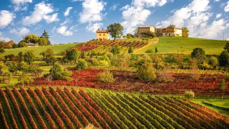 Italian Red Wine Guide