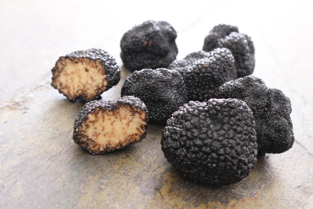 perigord-black-truffle