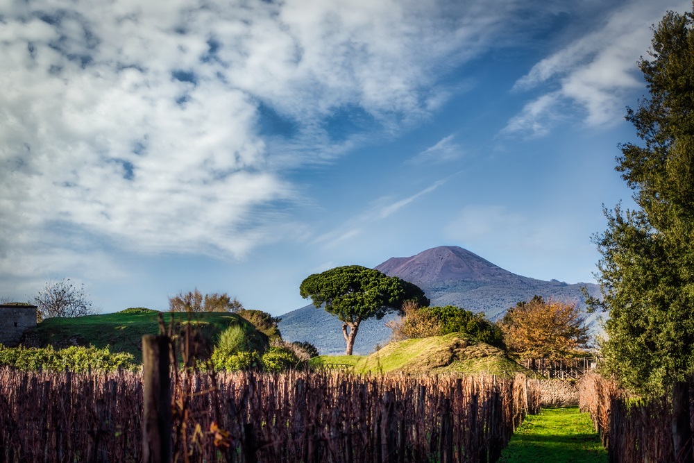 vineyard-at-the-foot-of-mount-vesuvius-near-pompeii