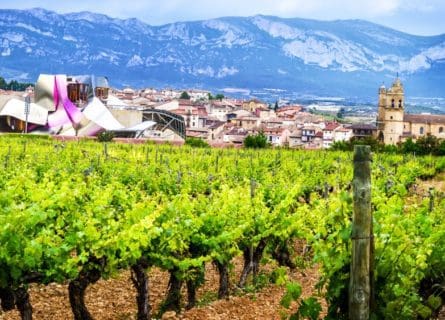 The Cuisine of La Rioja: One of Spain’s Best Wine Producing Regions