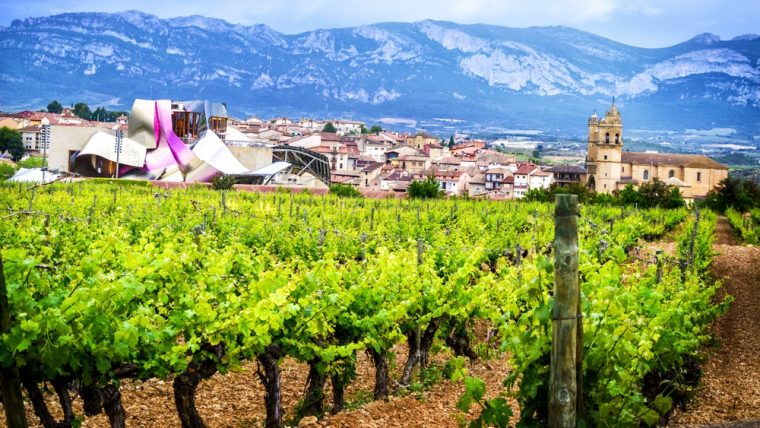 la-rioja-cuisine
