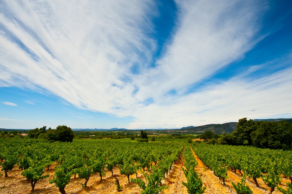 southern rhone valley