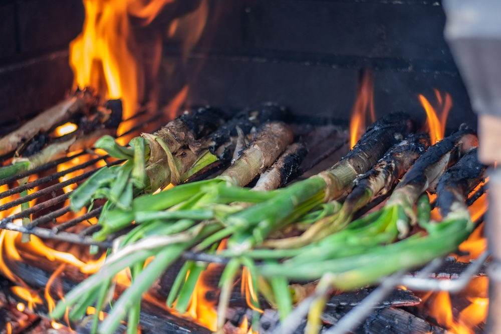 Calçots