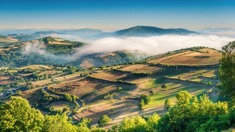 galician cuisine
