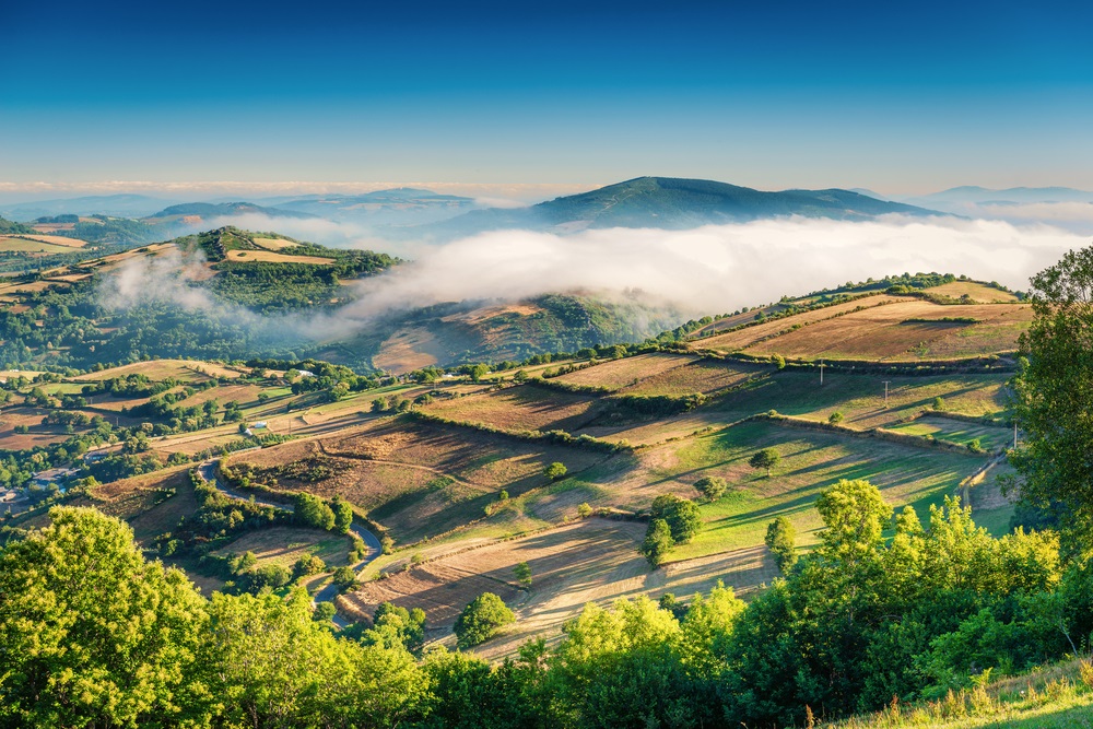 galician cuisine