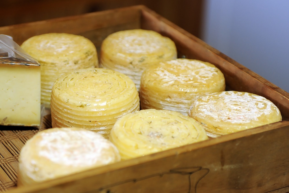 Payoya goat cheese from Sierra de Grazalema