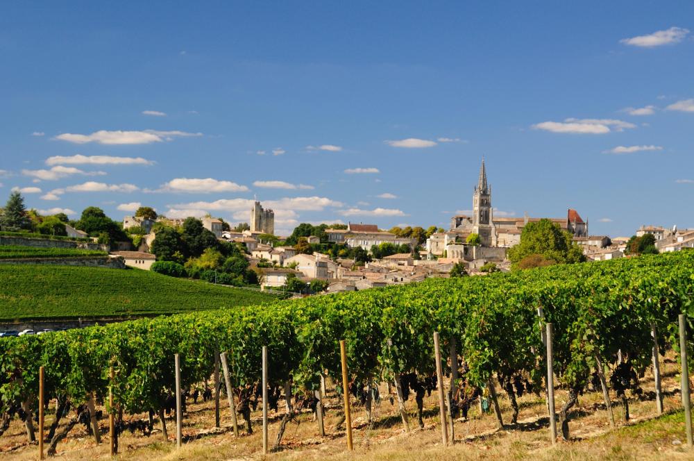 saint-emilion-vineyards