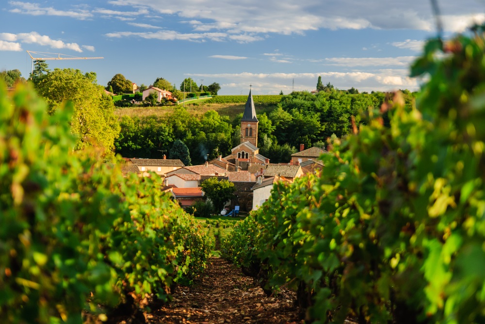 saint-julien in beaujolais region