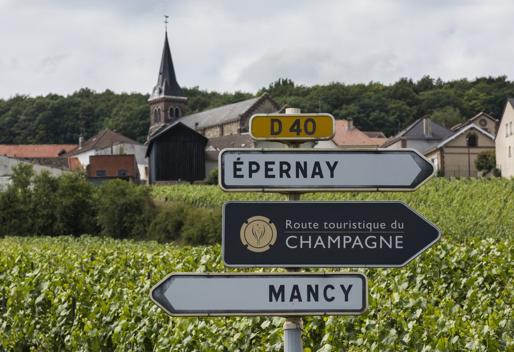 champagne vineyards