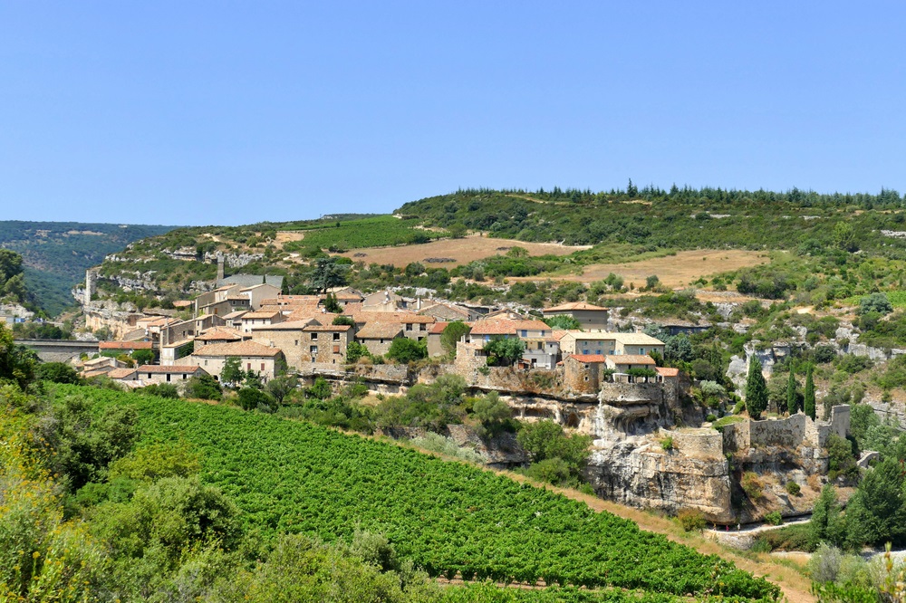 Vineyards on hills of Minervois