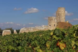 ruins-of-castle-in-mercurol