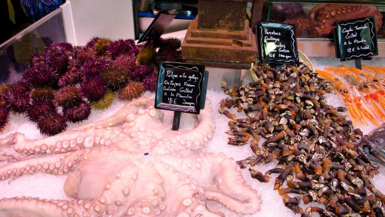 Spanish Market Fish Stall