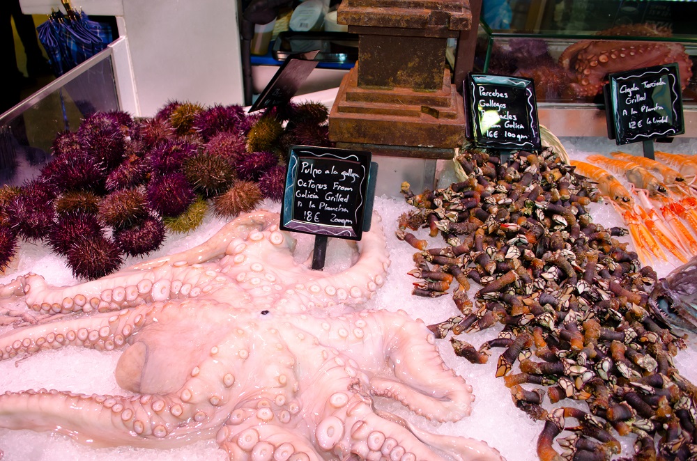 Spanish Market Fish Stall