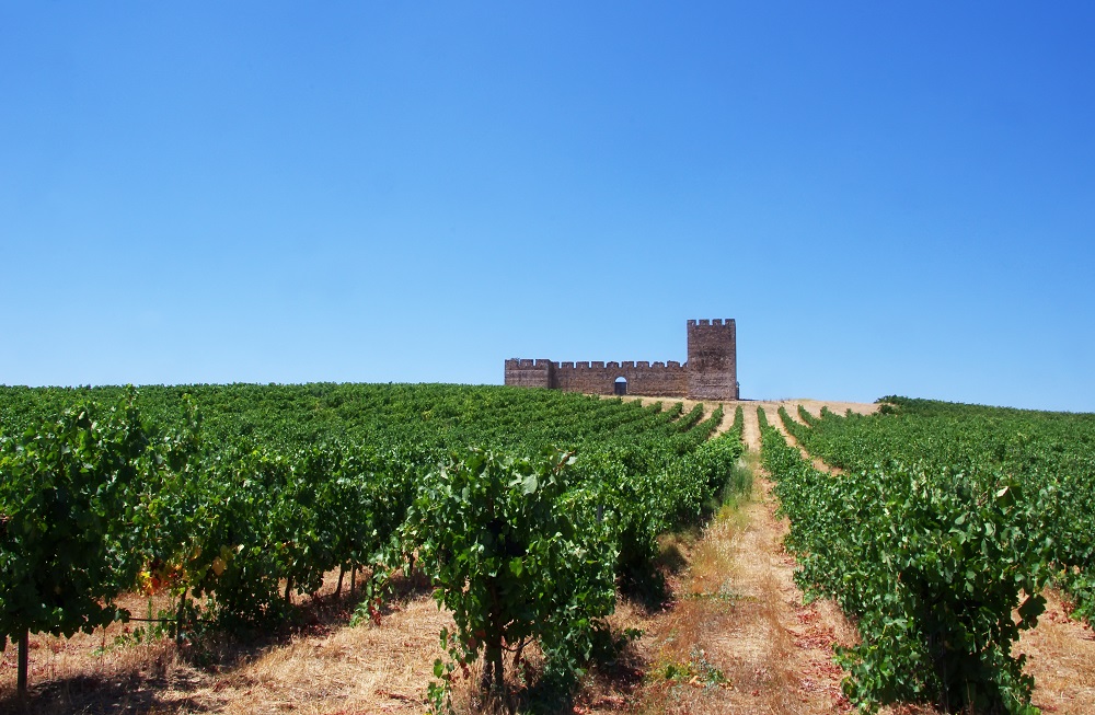alentejo-region-vineyards