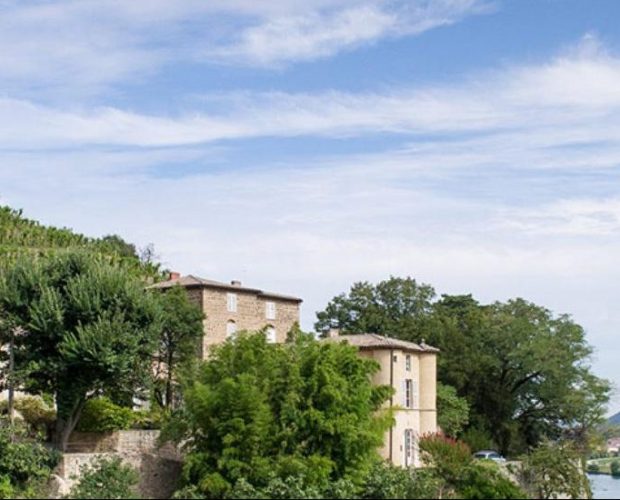 Condrieu Wine Region Guide