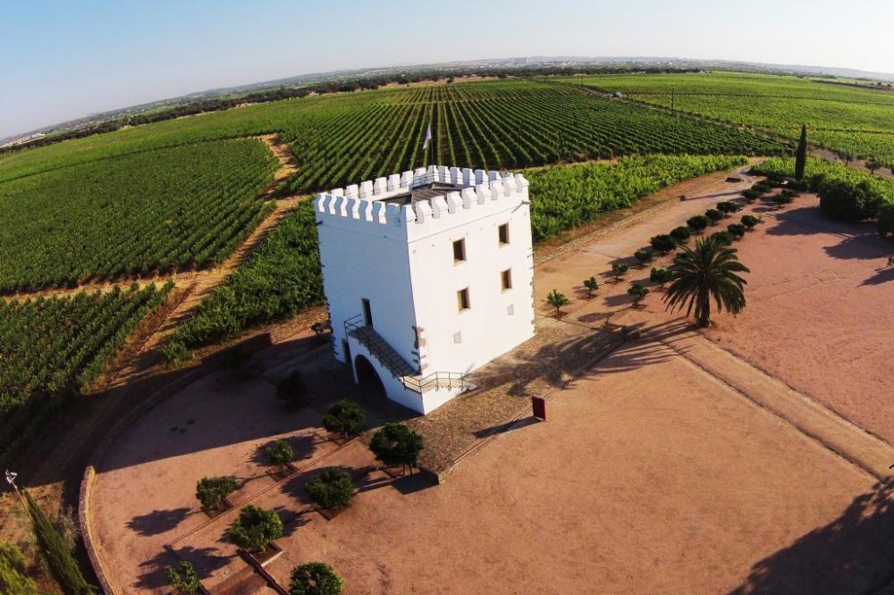 esporao-tower-and-vineyards