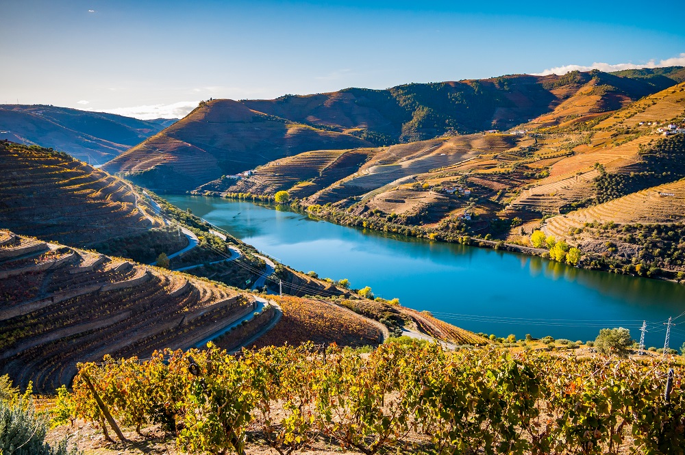 Douro Valley Wine Region