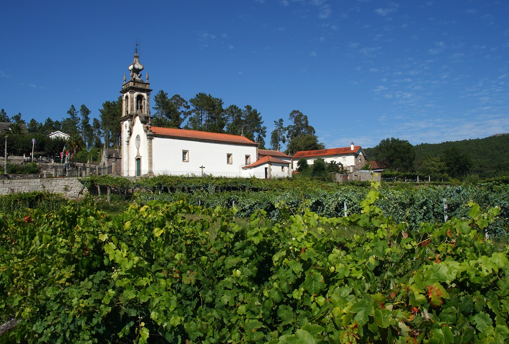 Minho Wine Region