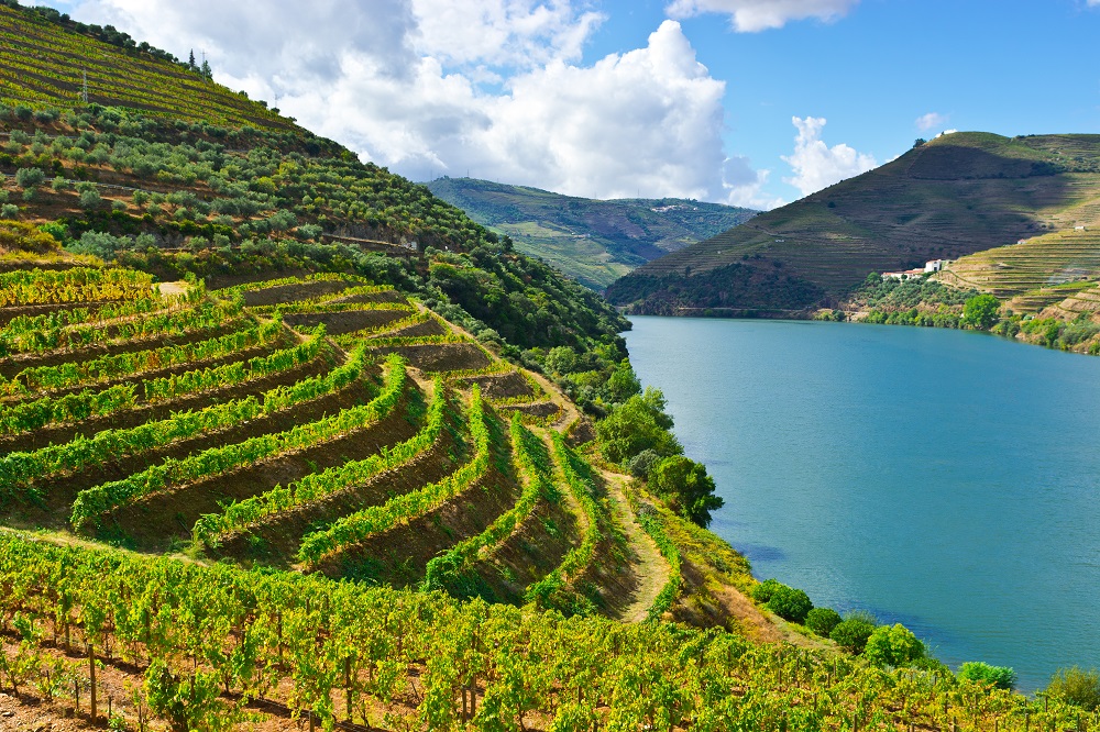 portuguese-red-wine-guide