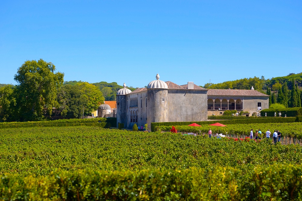 Setúbal Peninsula Wine Region