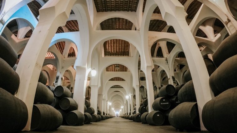 Beautiful wine Cathedral in Jerez