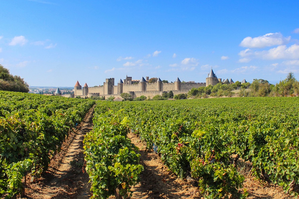 beautiful-vineyards-of-languedoc-roussillon