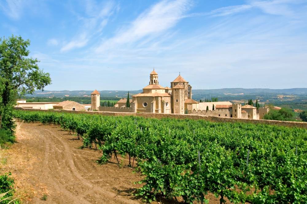 catalunya white wines