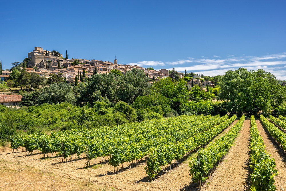 Vineyards near the village of Ansouis in the Luberon