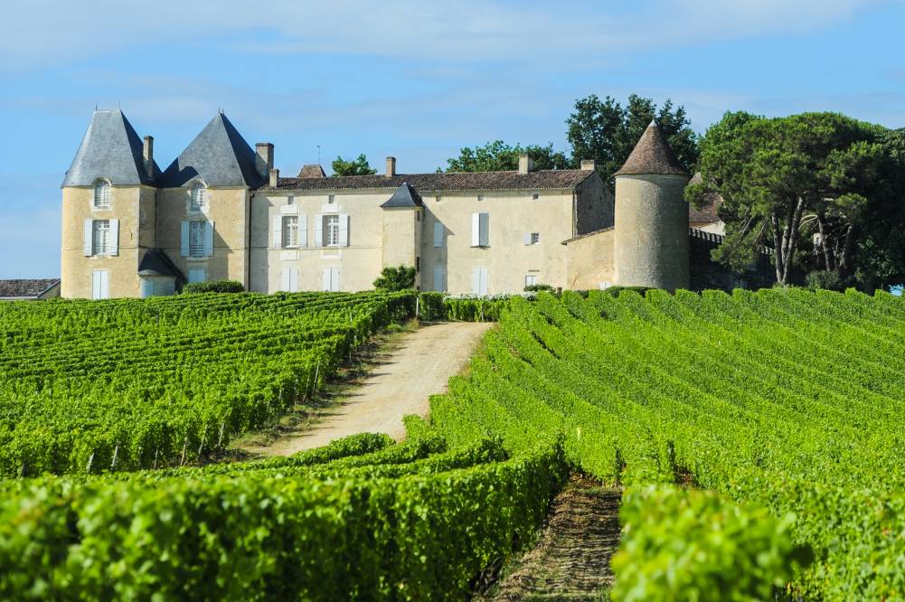 chateau-d-yquem-in-sauternes