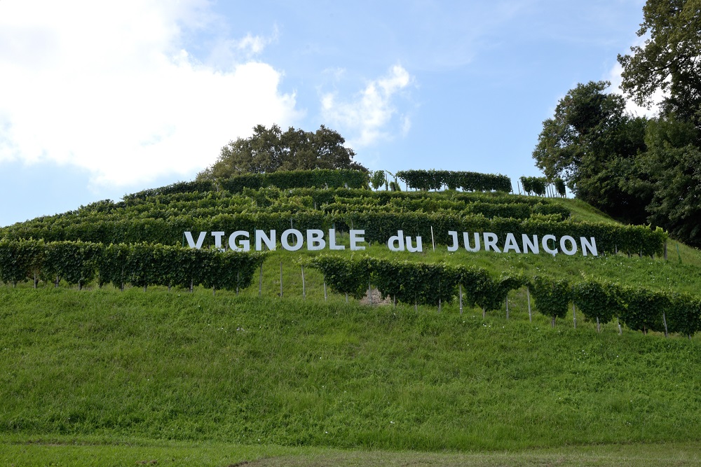 Jurançon Vineyards, in Southwest France