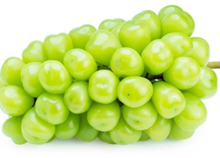 Star of the Family: Muscat Blanc Grape Variety