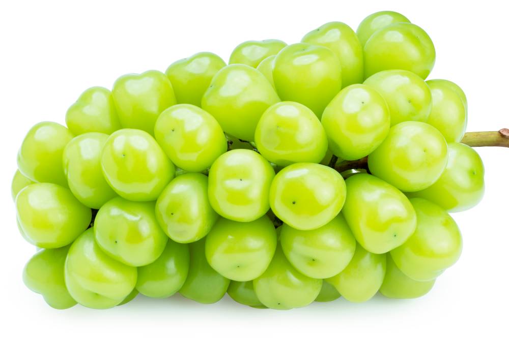 muscat-blanc-grape-varietal