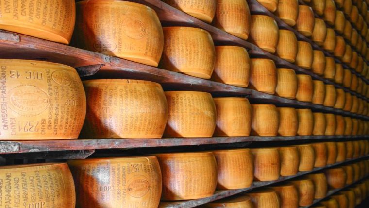 parmigiano-reggiano