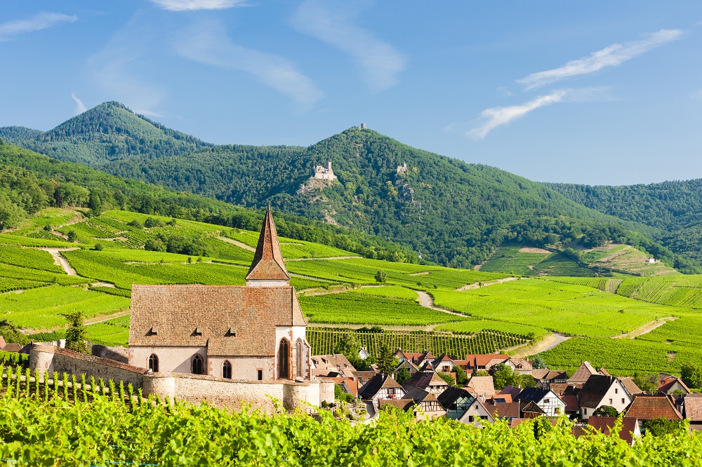 alsace vineyards